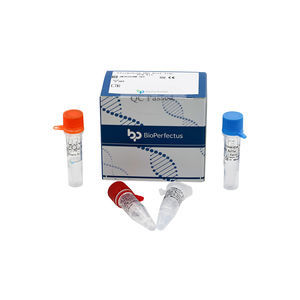 Plasmodium-Testkit