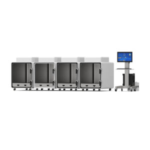 Body-Plethysmograph