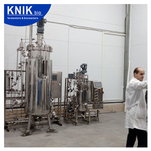Labor-Bioreaktor