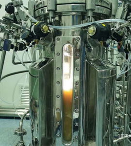 Labor-Bioreaktor