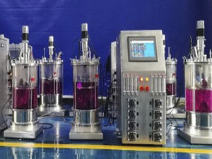 Labor-Bioreaktor