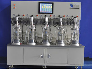 Labor-Bioreaktor