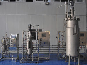 Labor-Bioreaktor