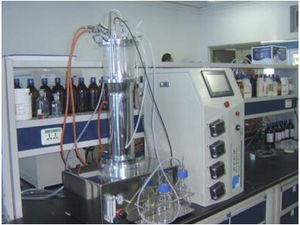 Labor-Bioreaktor