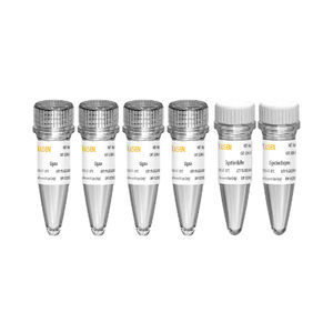 Enzyme-Reagenzkit 1