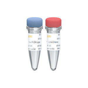 Reagenzkit / Ligase ADN