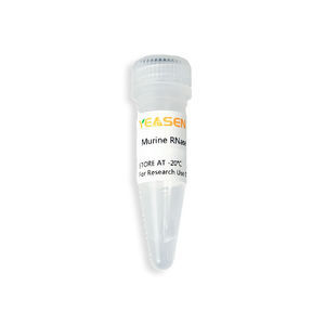 RNase-Inhibitor-Reagenz 1