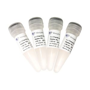 DNA-Polymerase-Reagenz 1