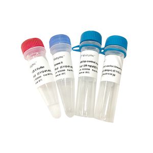 Enzyme-Reagenzkit 1