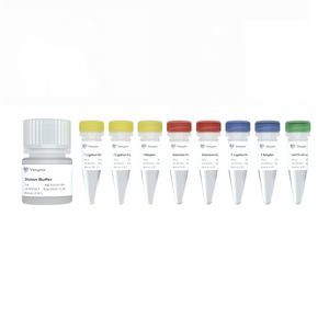 Reagenzkit / als Lösung 1