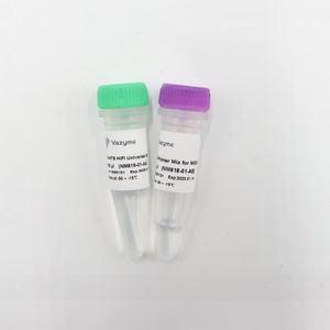DNA-Polymerase-Reagenzkit 1
