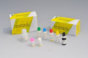 Schnelltest / Hepatitis A
