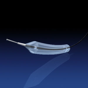PTCA-Katheter 1
