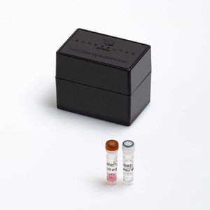 Enzyme-Reagenzkit