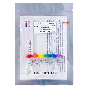 Reagenzkit / umgekehrte Transkriptase 1