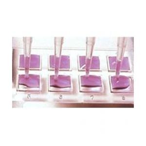 Mikroarrayplatte für PCR