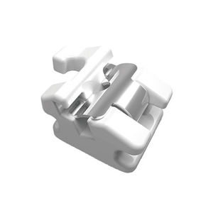 Orthodontie Bracket / ästhetisch 1