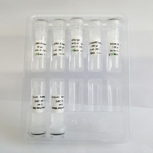 Enzyme-Reagenz