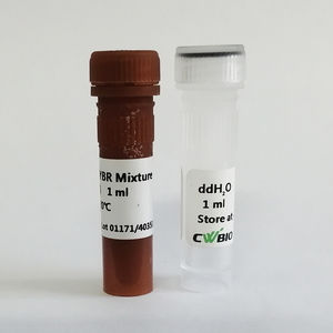 DNA-Polymerase-Reagenz