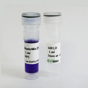 DNA-Polymerase-Reagenz