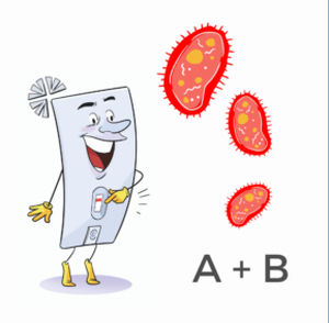 Schnelltest / saisonale Influenza H1