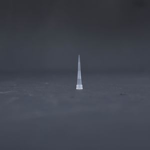 sterile Pipettenspitze 1