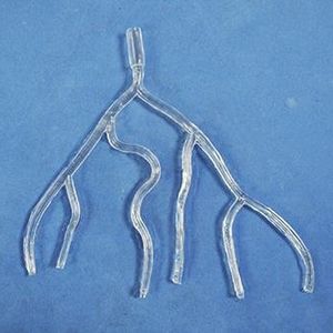 Anatomisches Modell / Arterie 1