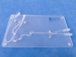 Intrakranieller anatomisches Modell
