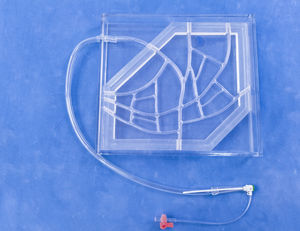 Anatomisches Modell / Koronararterien 1