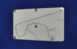 Anatomisches Modell / Koronararterien 1
