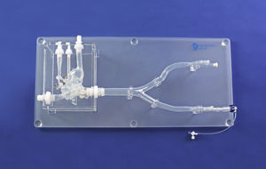 Anatomisches Modell / Herz 1
