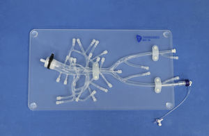 Anatomisches Modell / Bauch 1