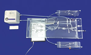 Gefäßmodell / Circulus arteriosus cerebri