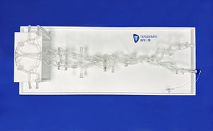 Arterie-Gefäßmodell 1