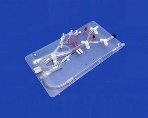 Arterie-Gefäßmodell 1