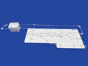 Intrakranieller Gefäßmodell