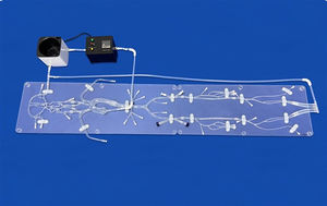 Gefäßmodell für Neurologie 1