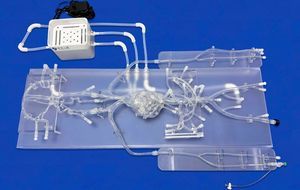 Gefäßmodell für Neurochirurgie 1
