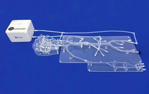 Gefäßmodell für Neurologie 1