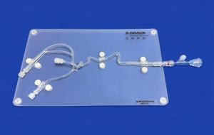 Anatomisches Modell / Arteria carotis 1