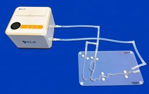 Intrakranieller anatomisches Modell 1
