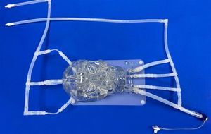 Gefäßmodell mit intrakranieller Arterie 1