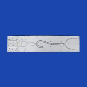 Intrakranieller anatomisches Modell 1