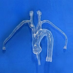 Arterie-Gefäßmodell 1