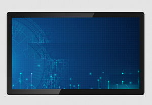 medizinisch Monitor