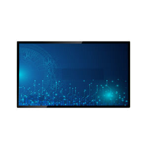 medizinisch Monitor