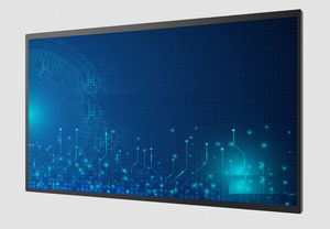 medizinisch Monitor