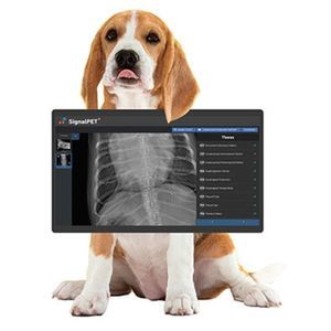 digitales Veterinär-Röntgensystem 1