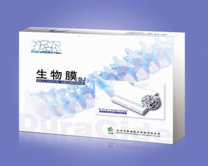 Dura Mater Substitutions-Prothese / Achillessehne der Rinder