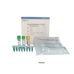 Testkit für Infektionskrankheiten 1